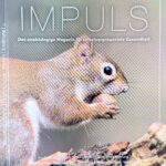 Impuls 39/40 Q3+4/25 DOPPELNUMMER